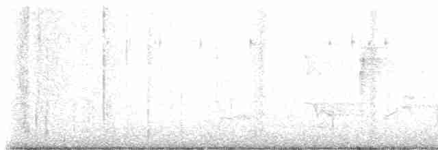 Черногорлая хвойница - ML619484234