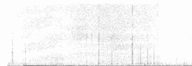 Серый петух - ML619484497