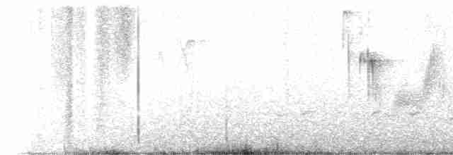 Büyük Kuyruklu Kiskal - ML619485275