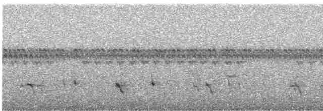 Parana Karıncakuşu (paludicola) - ML619485374