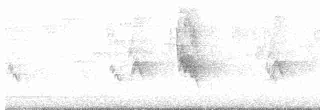 brunkinnskogtrost (swainsoni gr.) - ML619485421