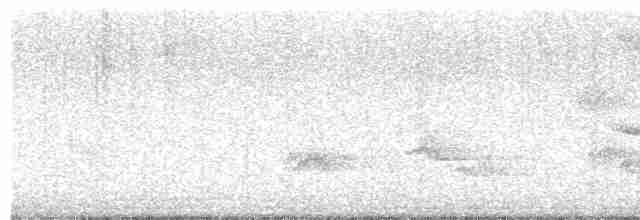 Дрізд-короткодзьоб канадський - ML619485466