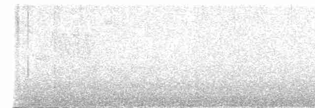Тихоокеанский крапивник - ML619485746