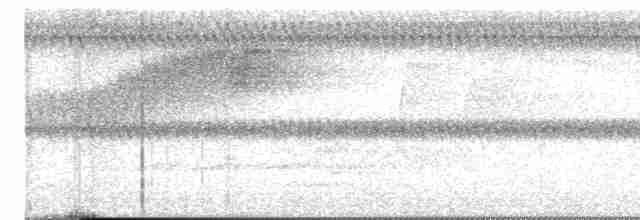 Cerulean Warbler - ML619485896