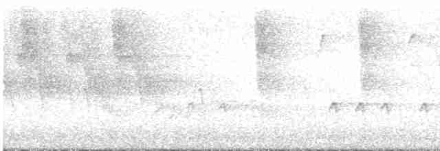 "Шишкар ялиновий (Northeastern, або тип 12)" - ML619485991