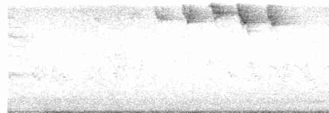 svarthetteparula - ML619486279