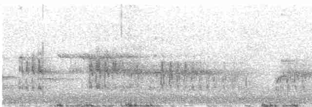 strakapoud bělohlavý - ML619486302