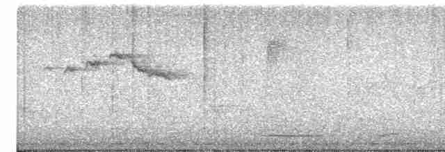 Paruline à gorge noire - ML619486351