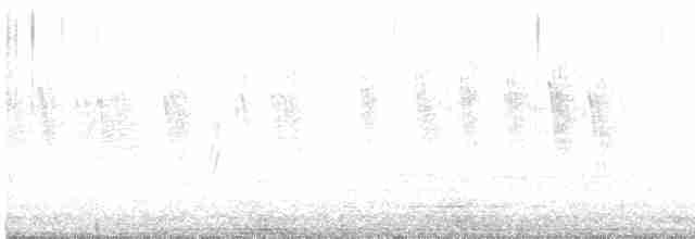 Hirondelle à face blanche - ML619486520