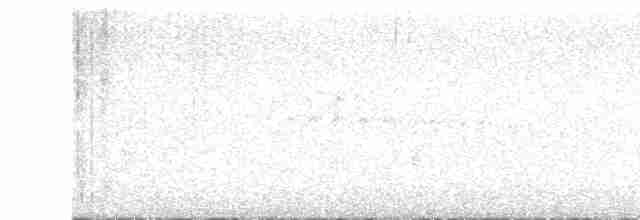 Дрізд-короткодзьоб бурий - ML619486930
