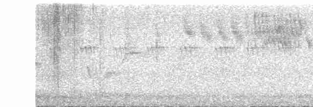 Голубокрылая червеедка - ML619486933
