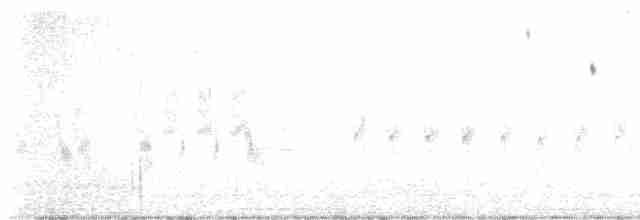 Кузнечиковая овсянка-барсучок - ML619487132