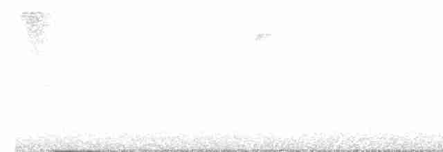 Hooded Warbler - ML619488226