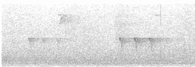 "Шишкар ялиновий (Northeastern, або тип 12)" - ML619488297