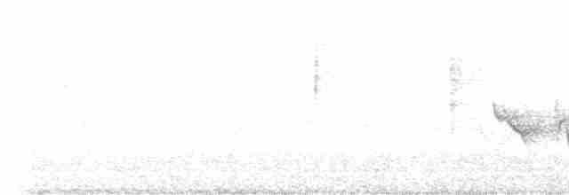 White-eyed Vireo - ML619488566