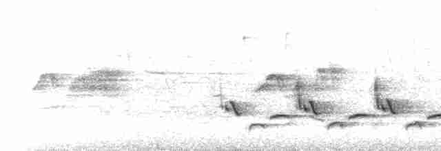 Каролинский крапивник - ML619488906