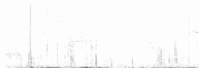 Трясогузковый певун - ML619489453
