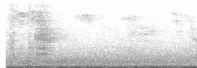 Paruline à gorge grise - ML619489833