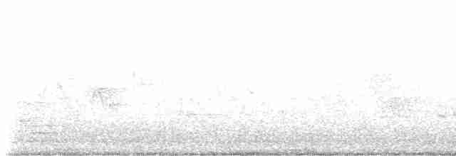 Дрізд-короткодзьоб Cвенсона [група swainsoni] - ML619490091