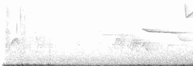 Чернокрылая пиранга - ML619490162
