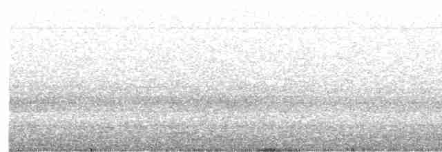 זהבן מחלל - ML619490251