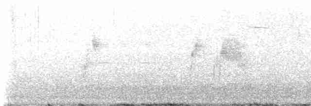 Söğüt Sinekkapan - ML619490536