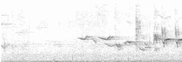Oriole des vergers - ML619490610