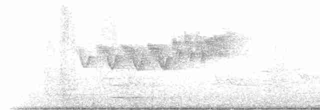 Cerulean Warbler - ML619490624