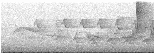Дроздовый певун - ML619490750