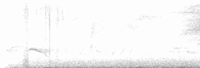 svartbrystparula - ML619490878