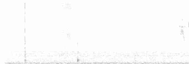 סבכון שחור-כיפה - ML619491138