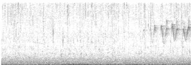 Малая вильсония - ML619491212