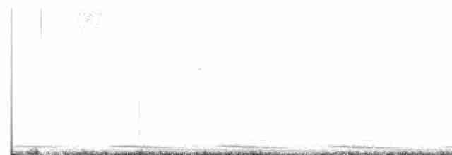 Калифорнийская кукушка-подорожник - ML619491241
