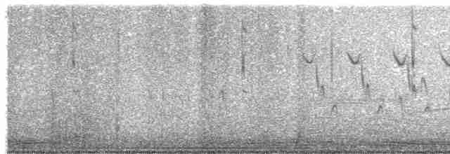 House Wren (Brown-throated) - ML619491401