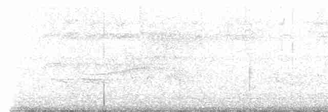Cerulean Warbler - ML619491544