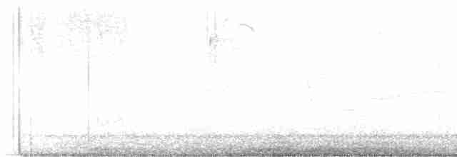 Червоїд світлобровий - ML619491552