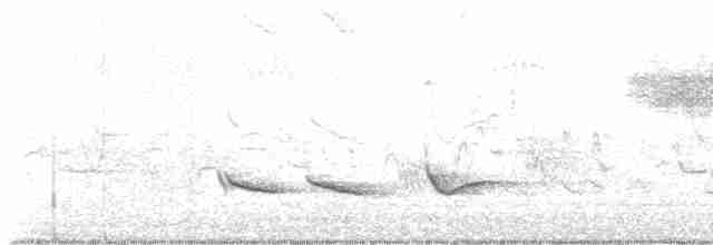 Голубокрылая червеедка - ML619491753