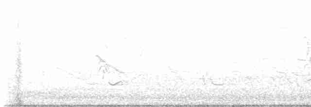 lesňáček modrokřídlý - ML619491755