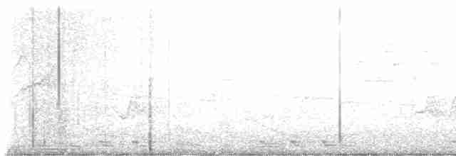 Black-billed Cuckoo - ML619491786