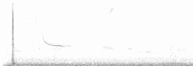 Chestnut-sided Warbler - ML619491873