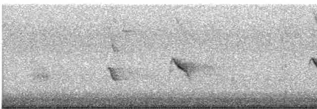 Kara Boğazlı Kolibri - ML619492180