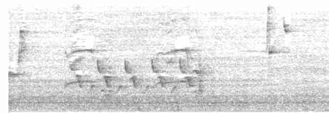 Пересмішник сірий - ML619492412