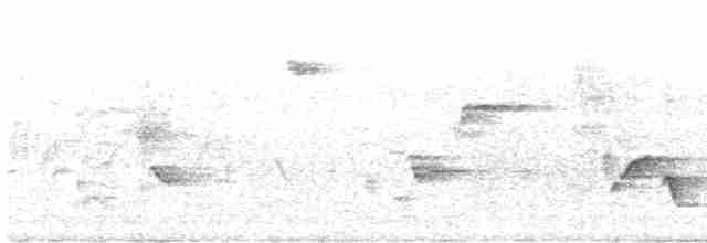 Каролинский крапивник - ML619493068