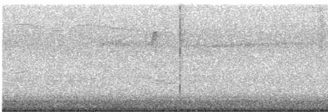 Kara Boğazlı Kolibri - ML619493136