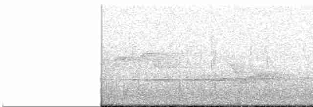 Cerulean Warbler - ML619493286