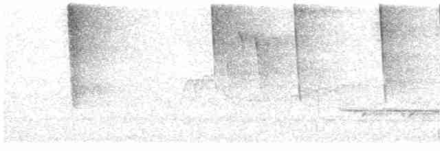 Чернокрылая пиранга - ML619493412