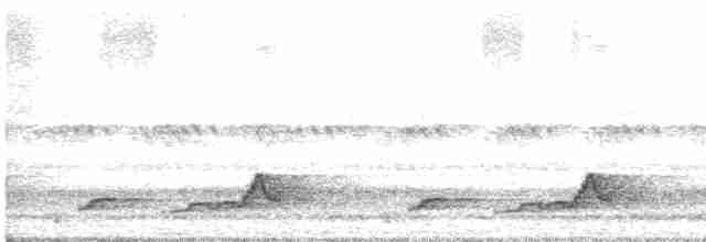 Schwarzkehl-Nachtschwalbe - ML619493670