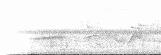Common Yellowthroat - ML619493712