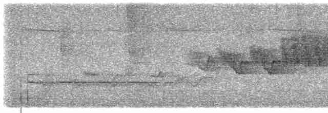 Cerulean Warbler - ML619493899