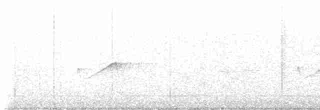 Sarı Karınlı Boreal Sinekkapan - ML619494291